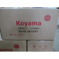 Guangzhou 250ah 12V PV Système Gel Deep Cycle Batterie Nps250-12